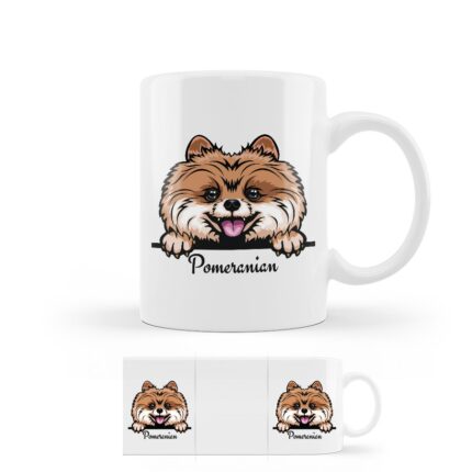 hrncek pomeranian