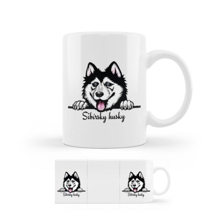 hrncek sibirsky husky