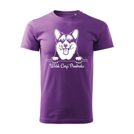 Welsh Corgi Pembroke velky bradac 1 tyrkysova